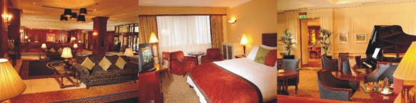 D4 Berkeley Hotel