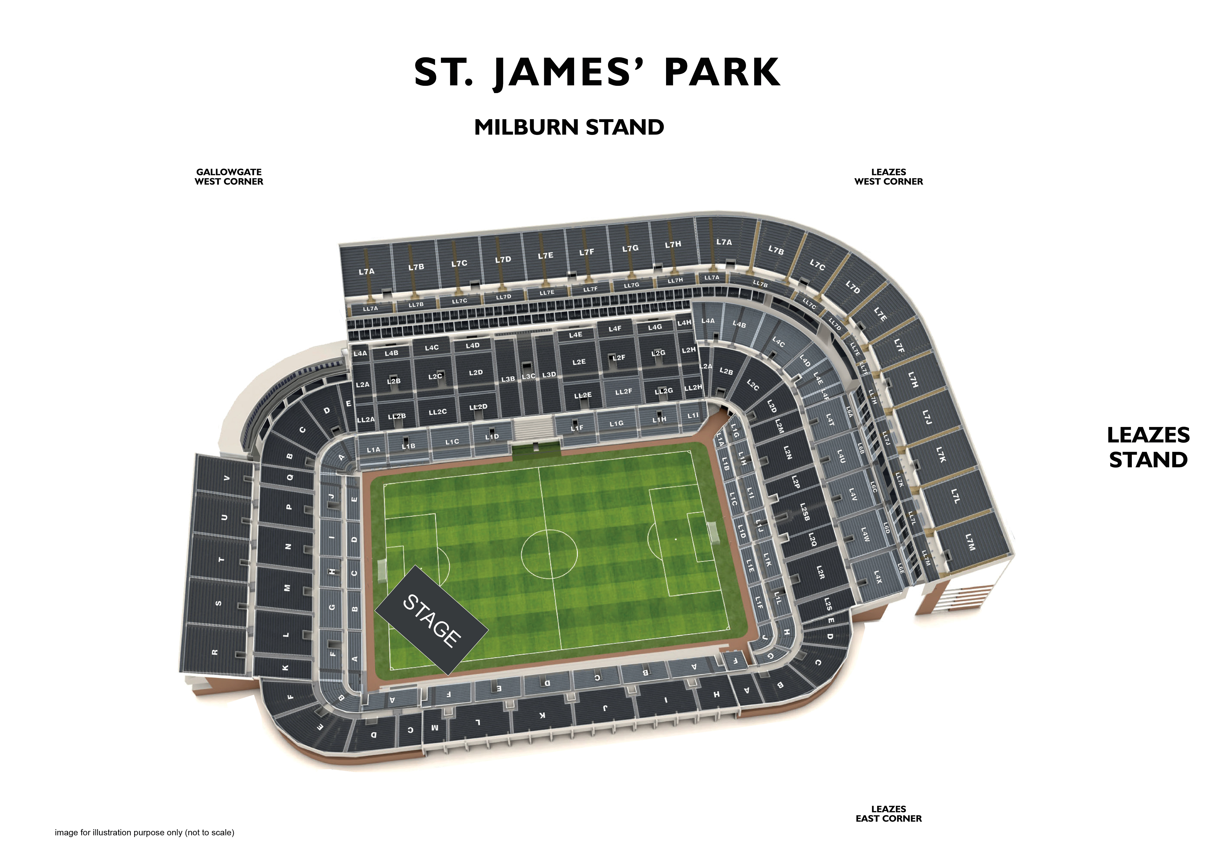 St James Park Newcastle Pitch Standing